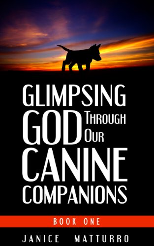 Glimpsing God Book 1