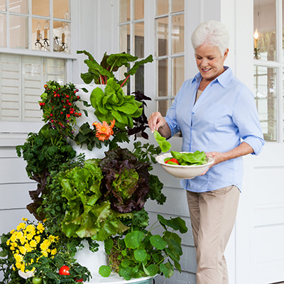 Tower Garden Aeroponics
